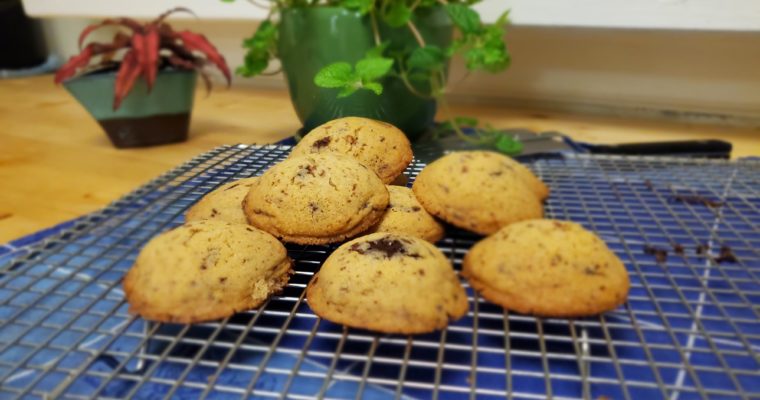 Cakey Gluten-free Chocolate Chip Cookies